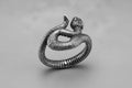 The Coil Ring