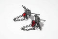 Nevermore Earrings
