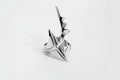 Shield Fragment Ring