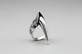 The Wyvern Ring