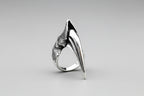 The Wyvern Ring